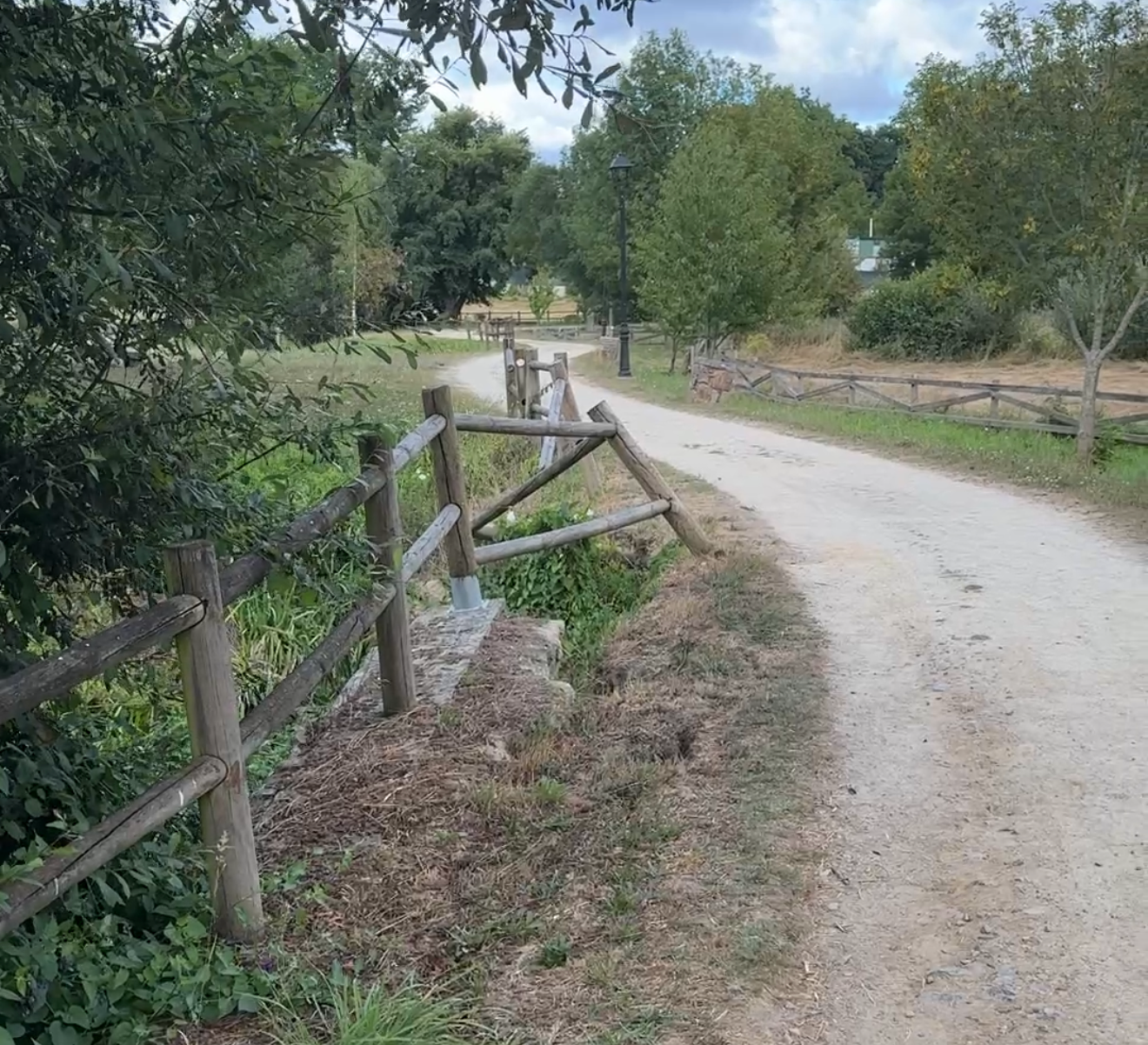 Alba Forno denuncia o “abandono intolerable” do Paseo do Pontiñas e esixe ao Goberno que actúe de xeito inmediato